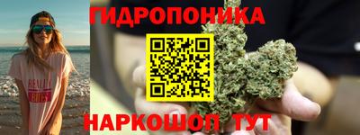 jwh Новокубанск